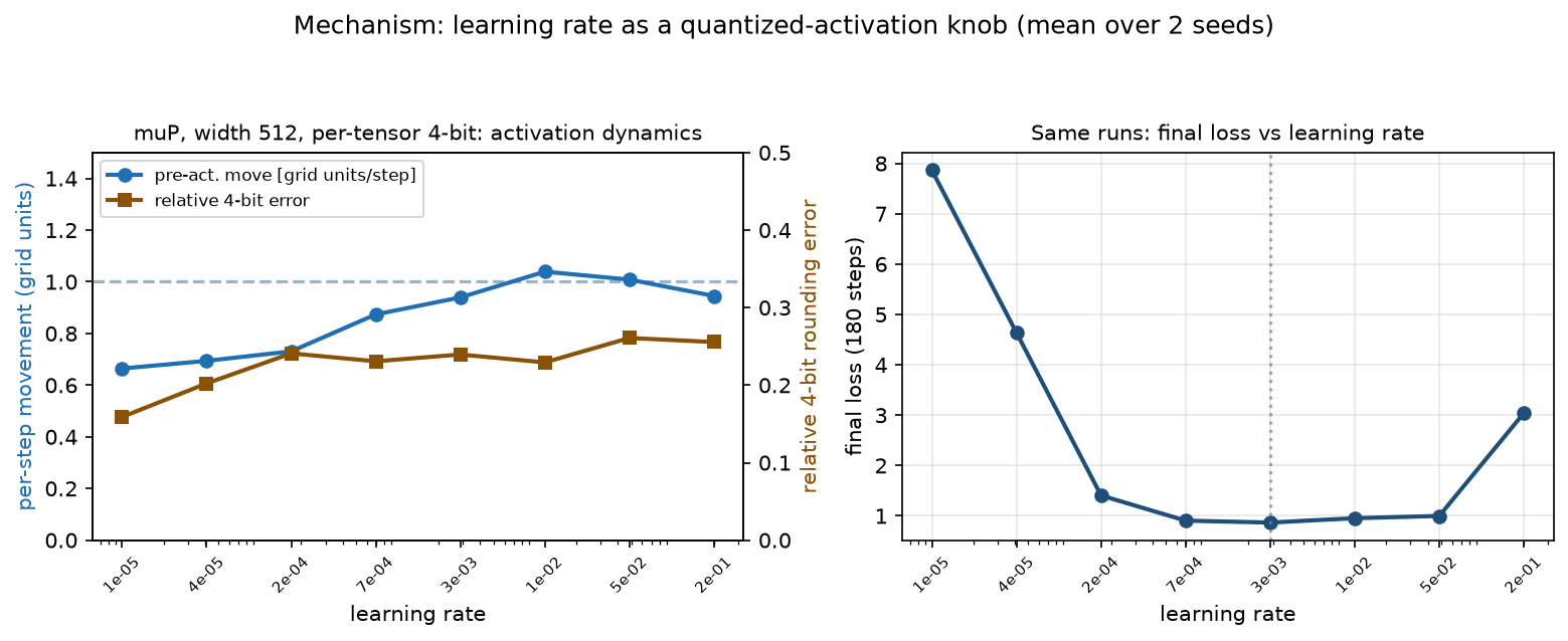 Mechanism diagnostic under per-tensor 4-bit, muP, width 512, mean over two seeds. Left: per-step pre-activation movement in 4-bit grid units (blue) and relative 4-bit rounding error (orange) versus learning rate; movement rises to just over one grid step per step near the working rate, and the rounding error is large and flat. Right: final loss of the same runs versus learning rate.